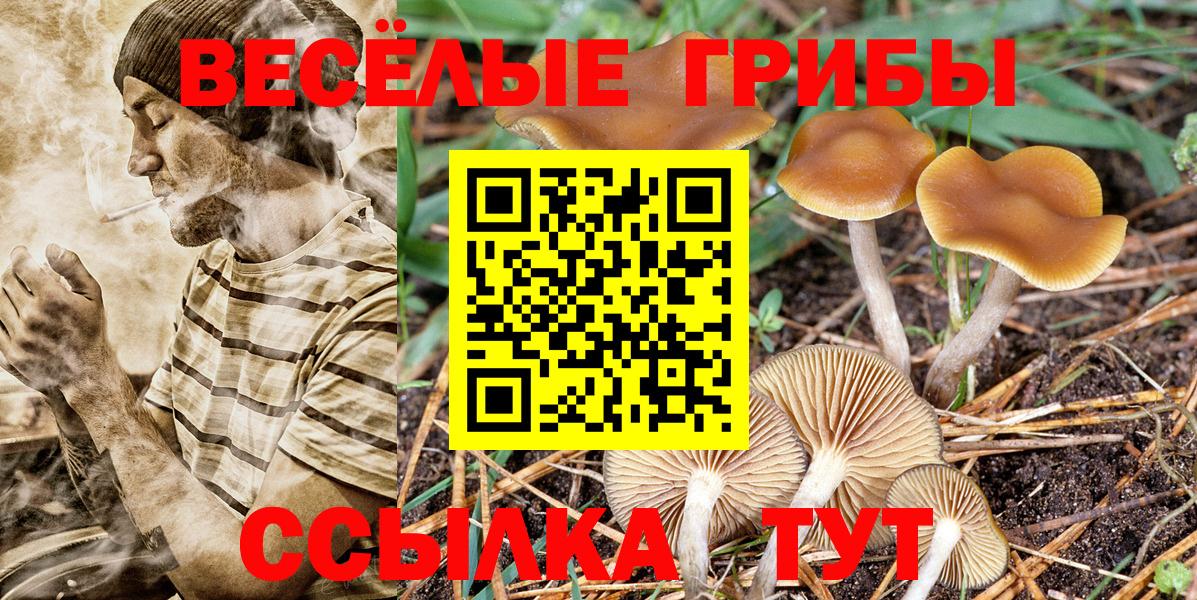 Псилоцибиновые грибы мухоморы  Вход с VPN  Югорск 